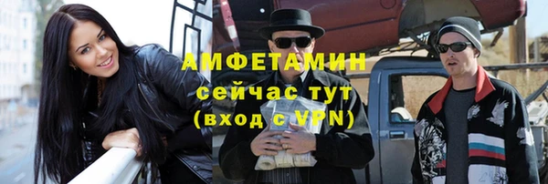 apvp Горняк