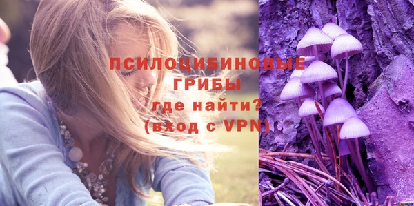 МДМА Горнозаводск