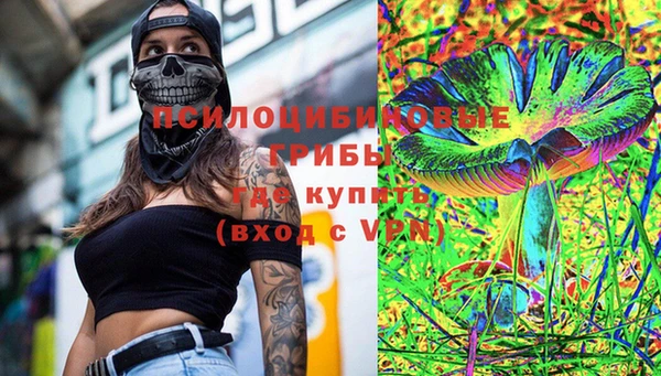 apvp Горняк