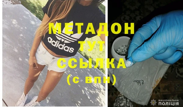 прущие грибы Лабытнанги