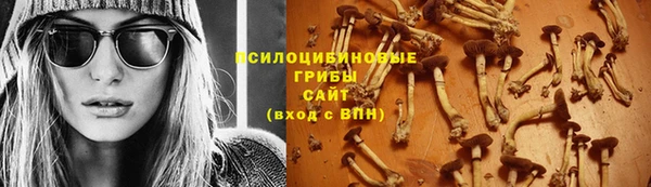 МДМА Горнозаводск