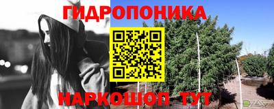 apvp Краснокаменск