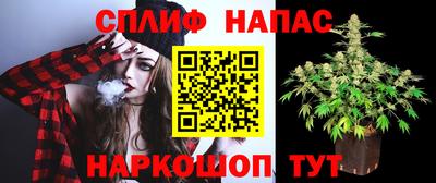 МДПВ Краснодар