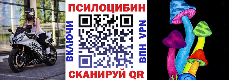 Псилоцибиновые грибы мухоморы  цены наркотик  Дубна 