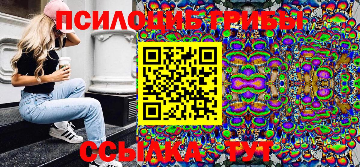 Псилоцибиновые грибы прущие грибы Дубна