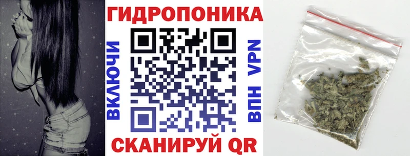 darknet как зайти  Дубна  Бошки Шишки SATIVA & INDICA 